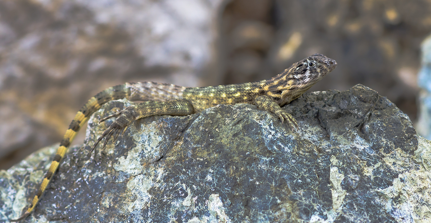 На солнышке