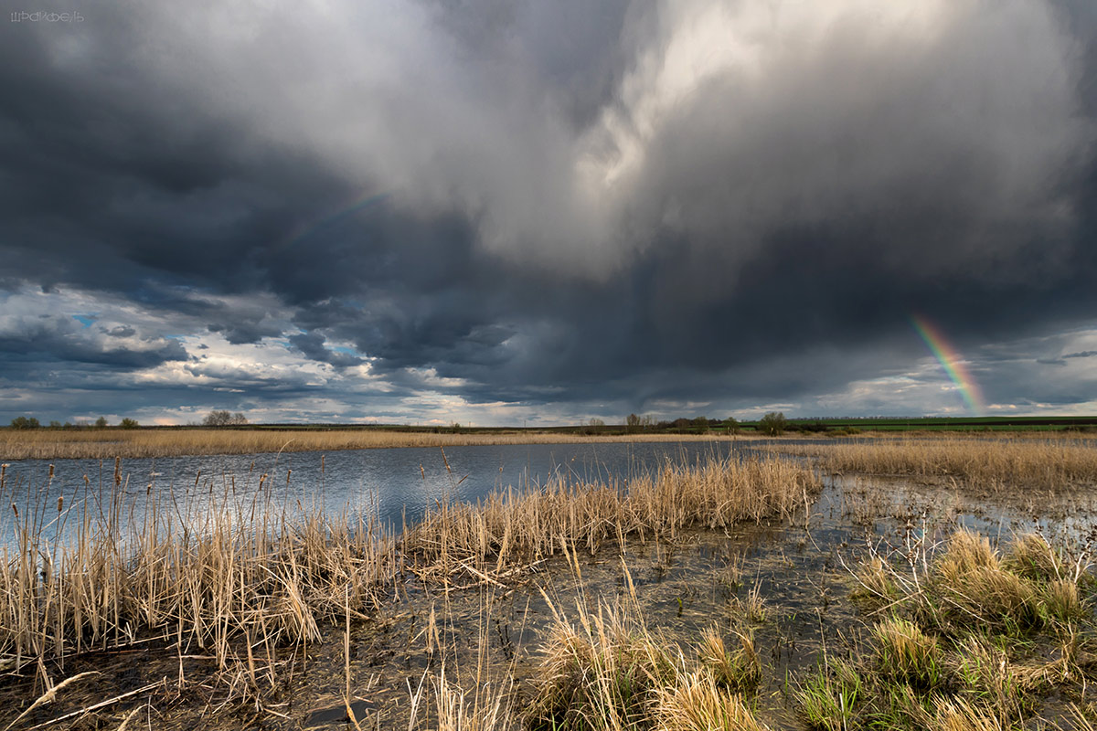 Ливень прошел