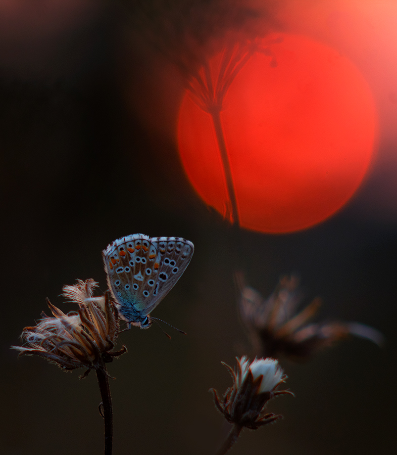 Тихий вечер