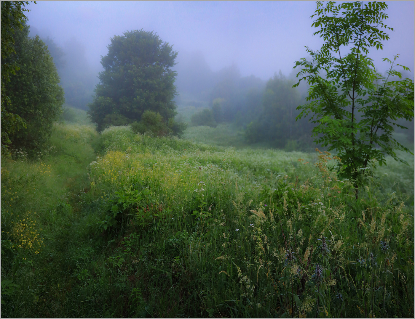 Утренний этюд