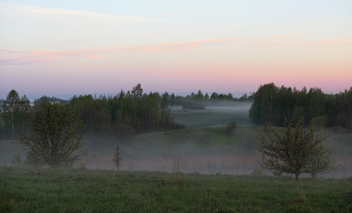 Туманные перелески