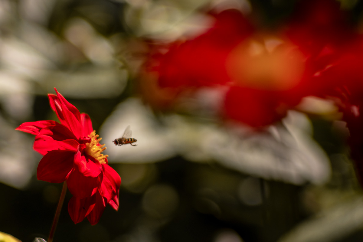 цветочное...