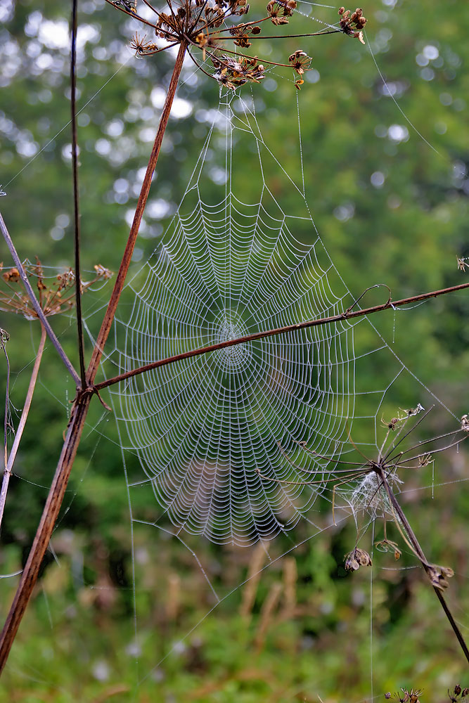 Der Geruch des Herbstes