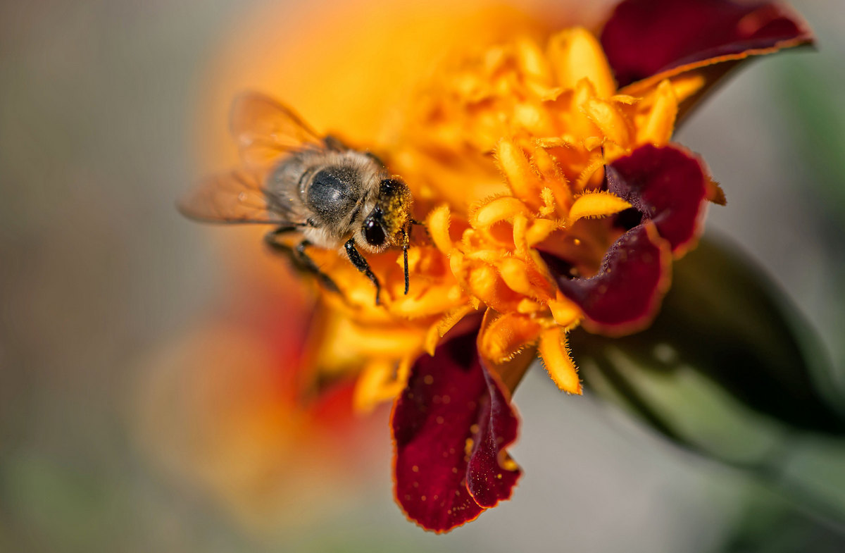 Утренний завтрак...
