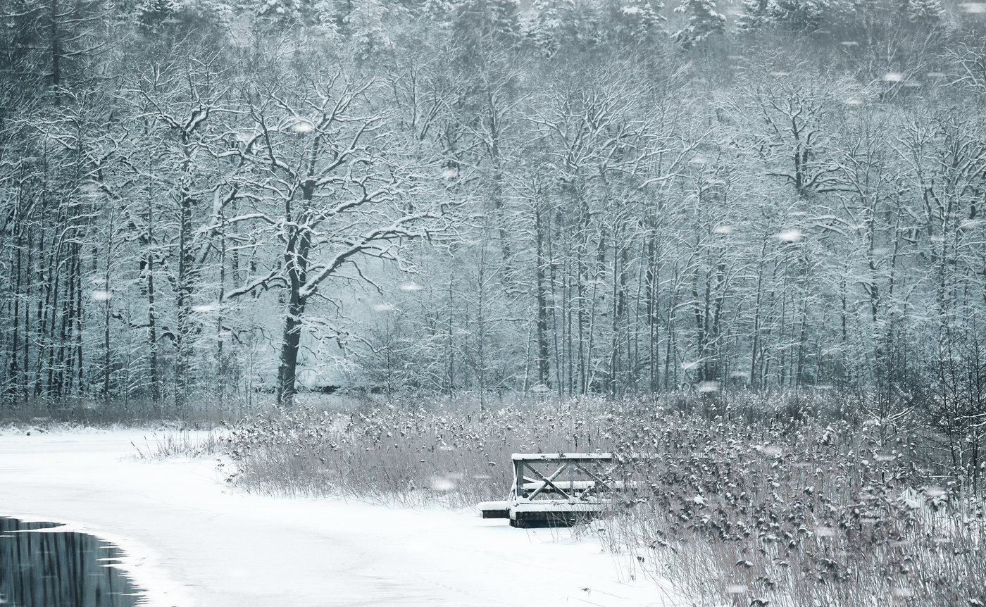 Зимний день