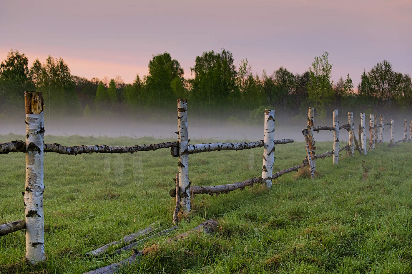Туман не пройдет!