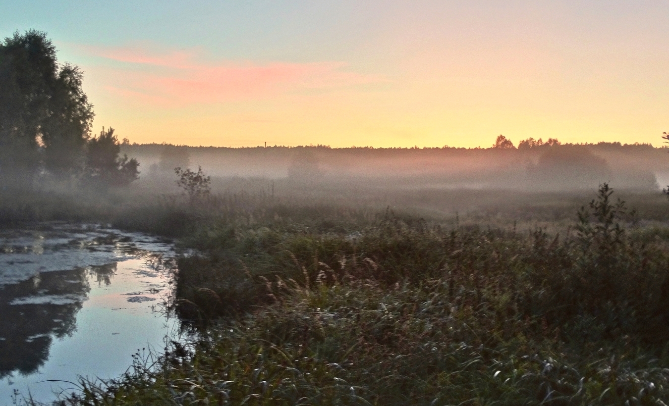 Сентябрьский туман поздним вечером