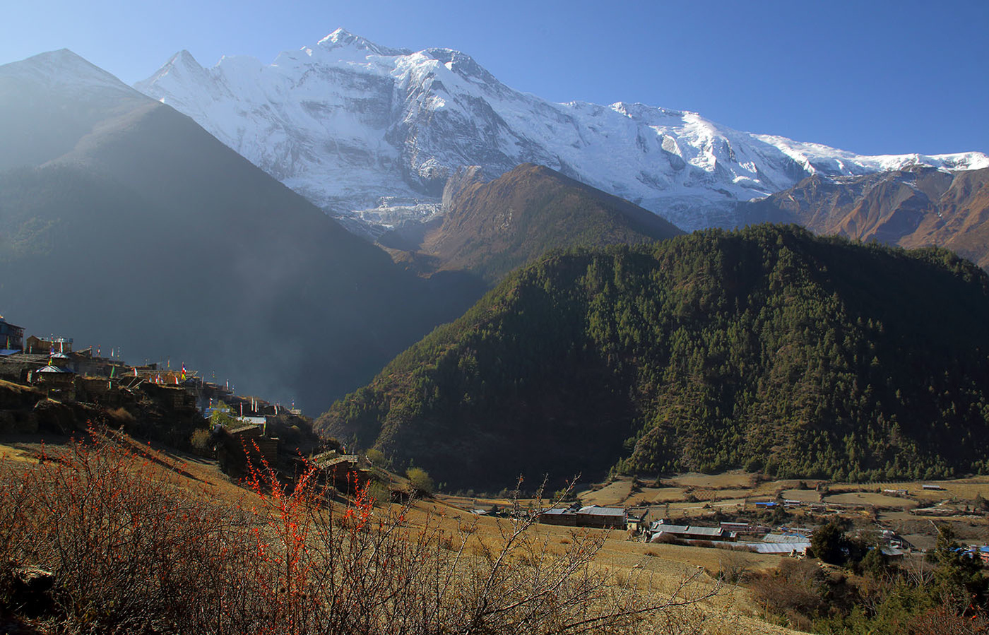 Аннапурна II