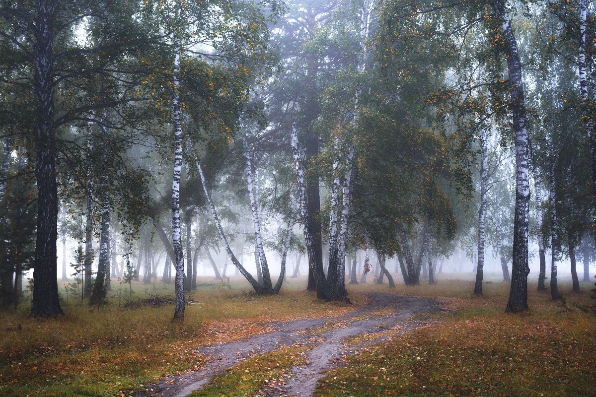 Осень начинается летом!