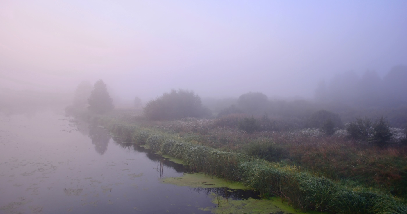 Туманный мир