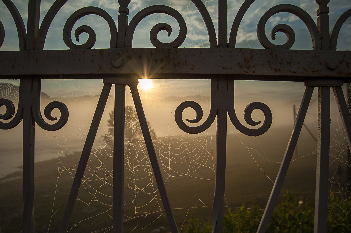 Паутина на мосту