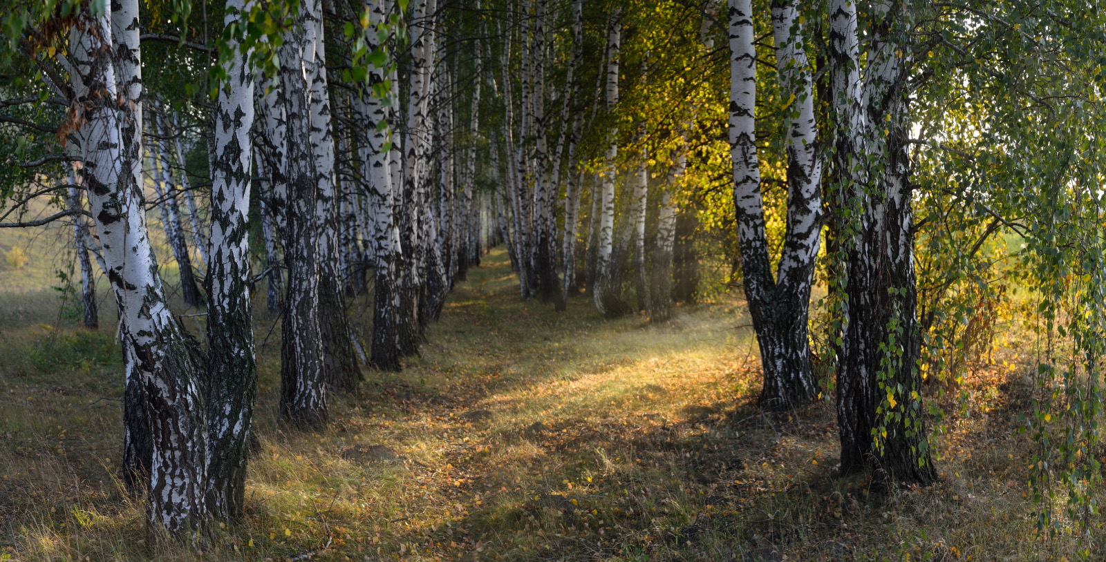 Теплым сентябрьским вечером