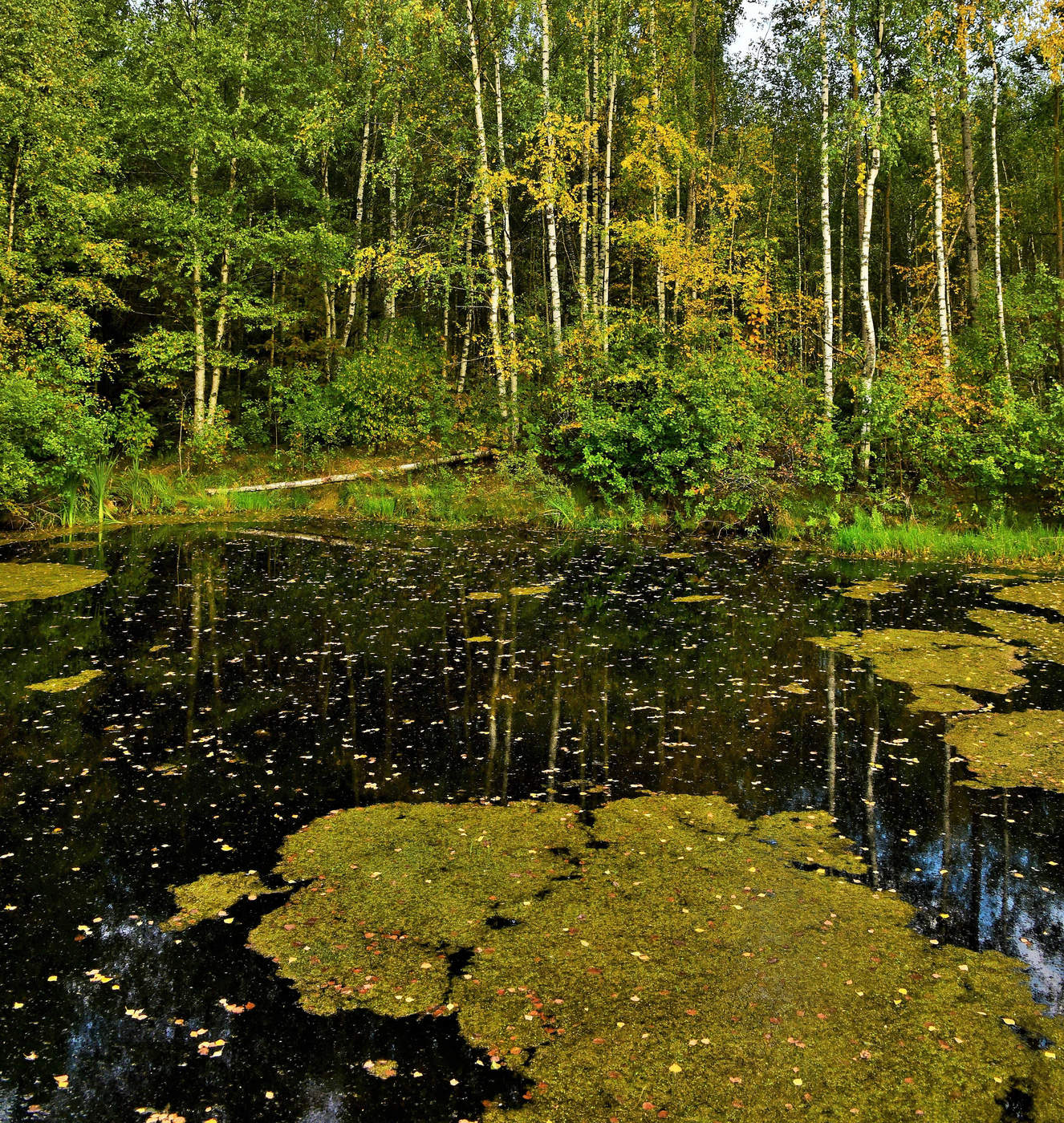 "Когда уходит летняя пора ..."