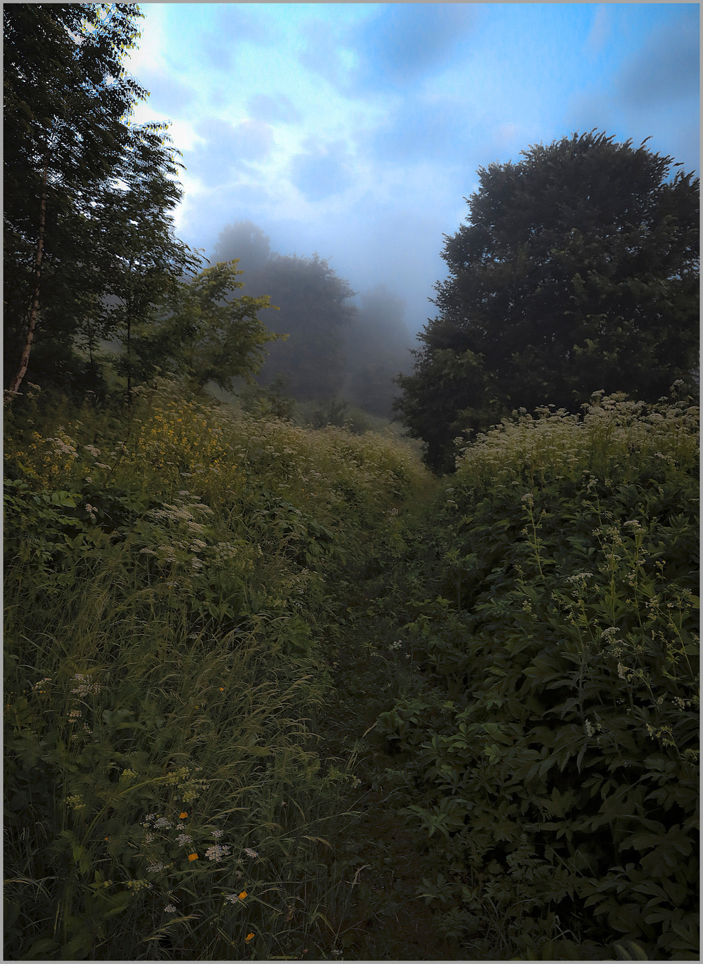 Утренний этюд 2