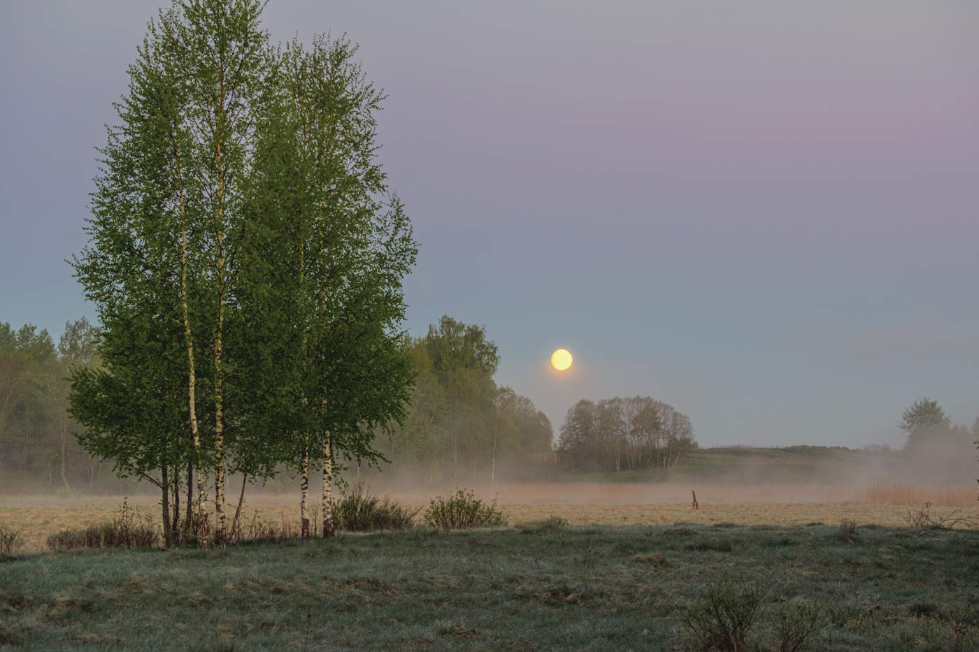 Полная луна в тумане