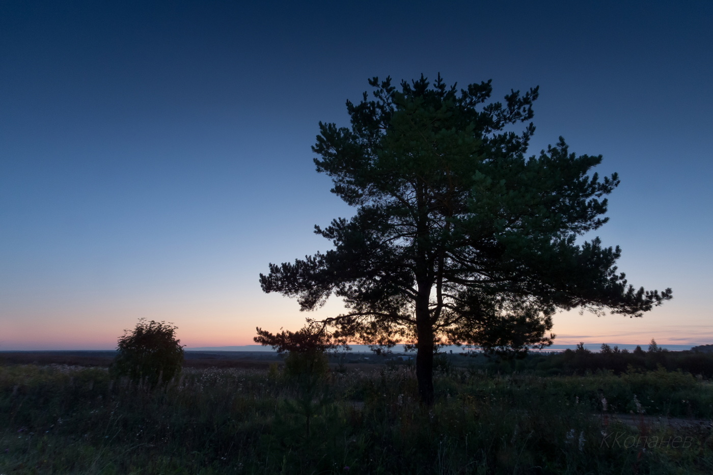 Встречая новый день