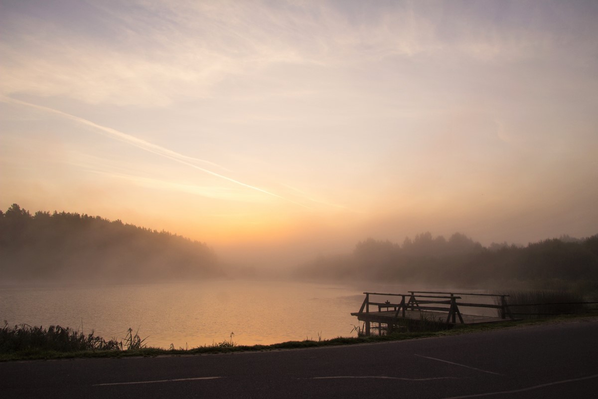 В дымке тумана