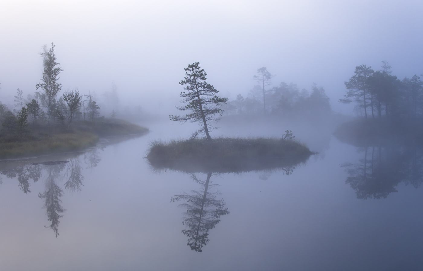 Кисельные берега