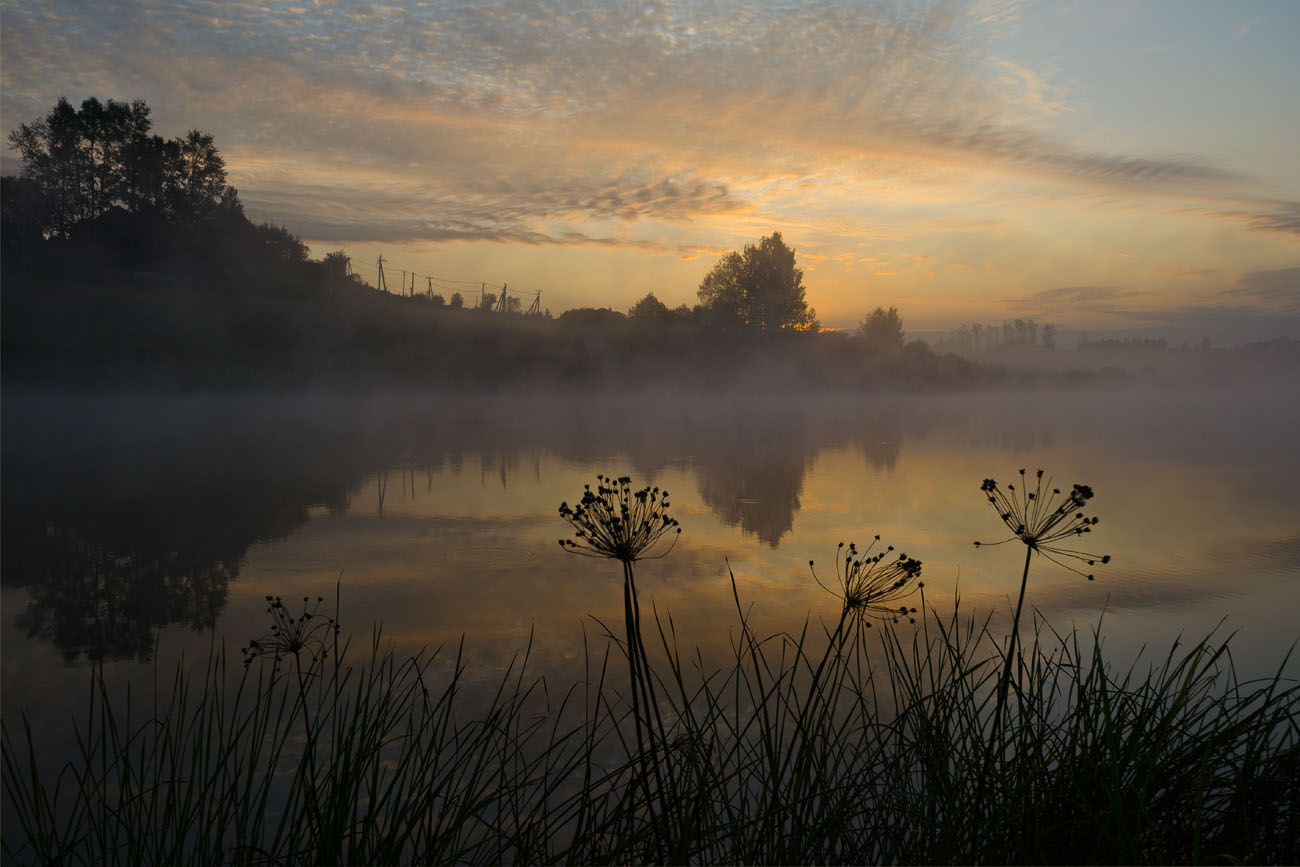 Утро меняет мир