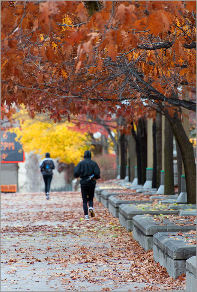 Осенний марафон