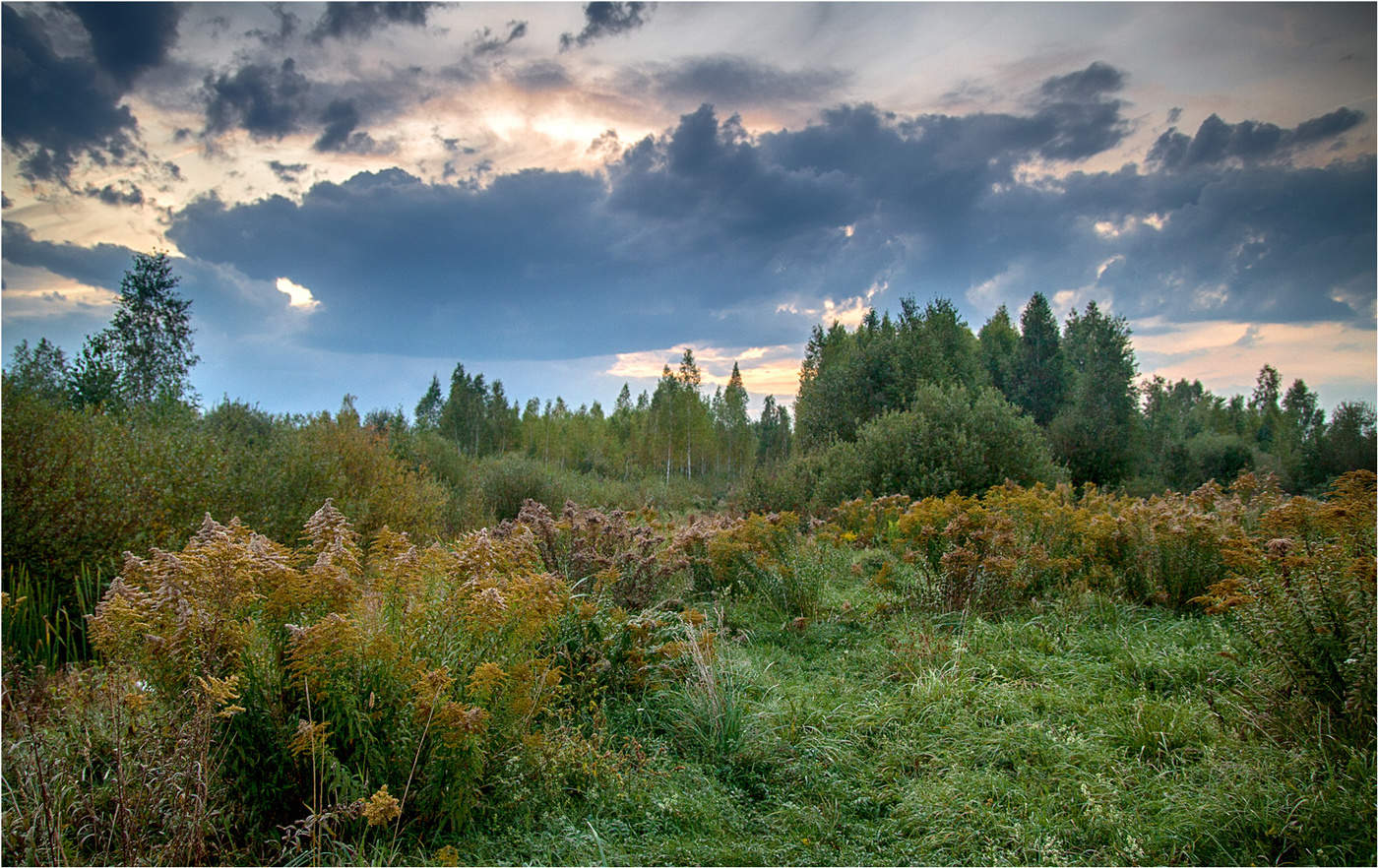 Осенняя палитра
