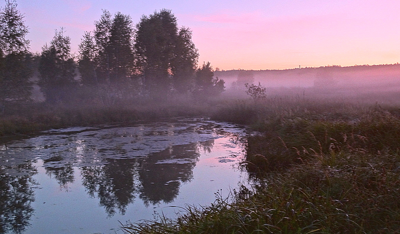 Розовые краски осеннего заката