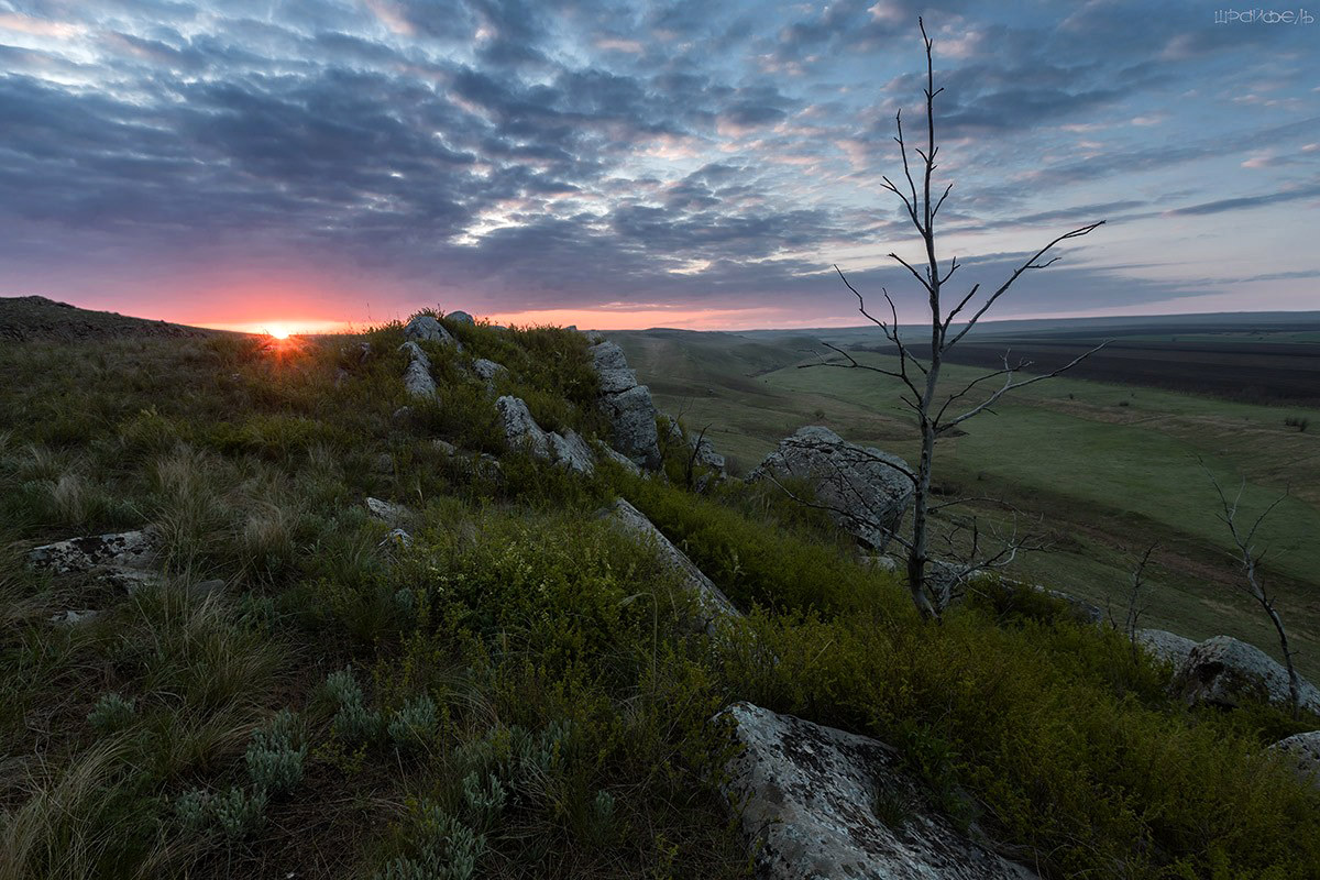 Пробуждение