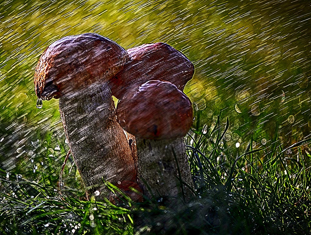 осеннее настроение