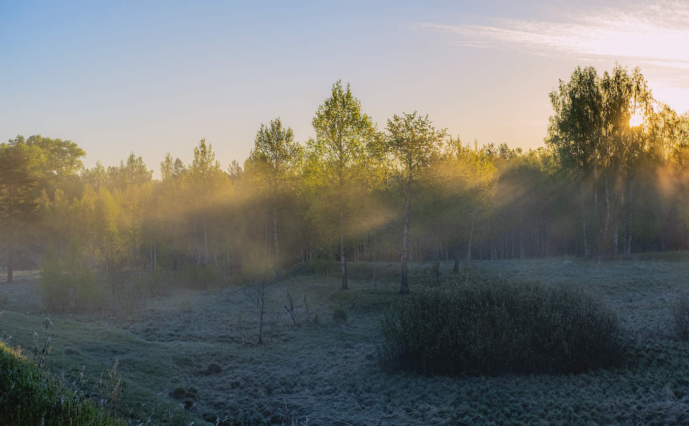 Солнечный взгляд из-за леса