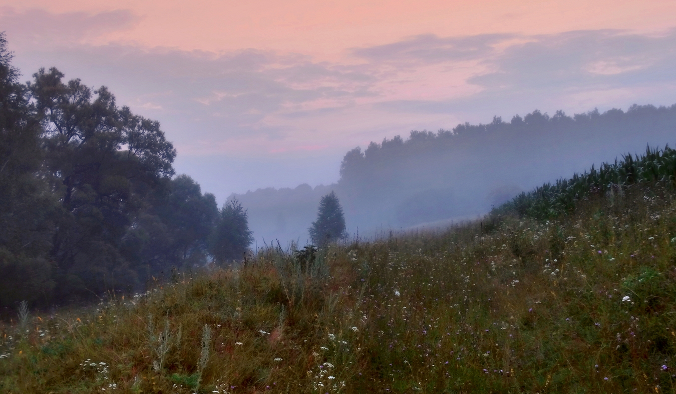 Утро туманное летом