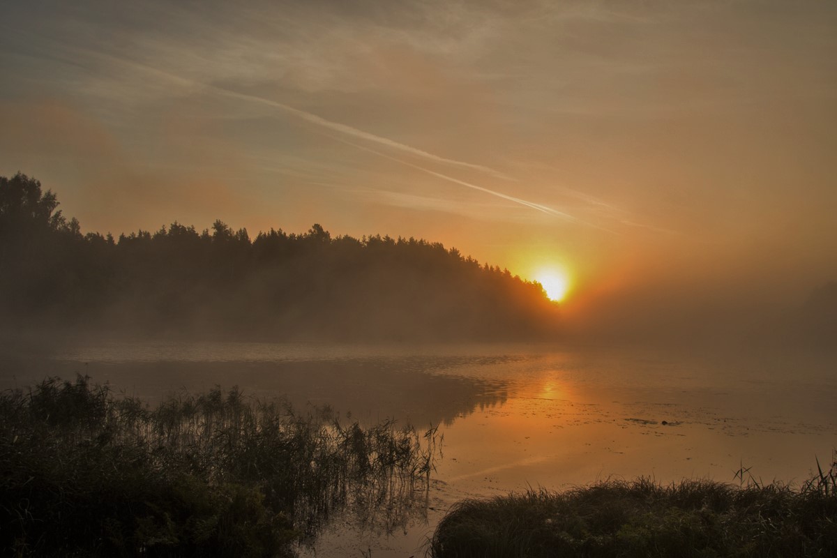 Туманный рассвет