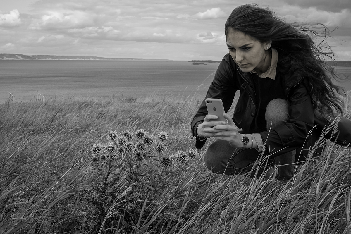 Над Волгой...