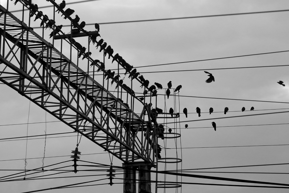 Опаздываете. Сейчас начинаем