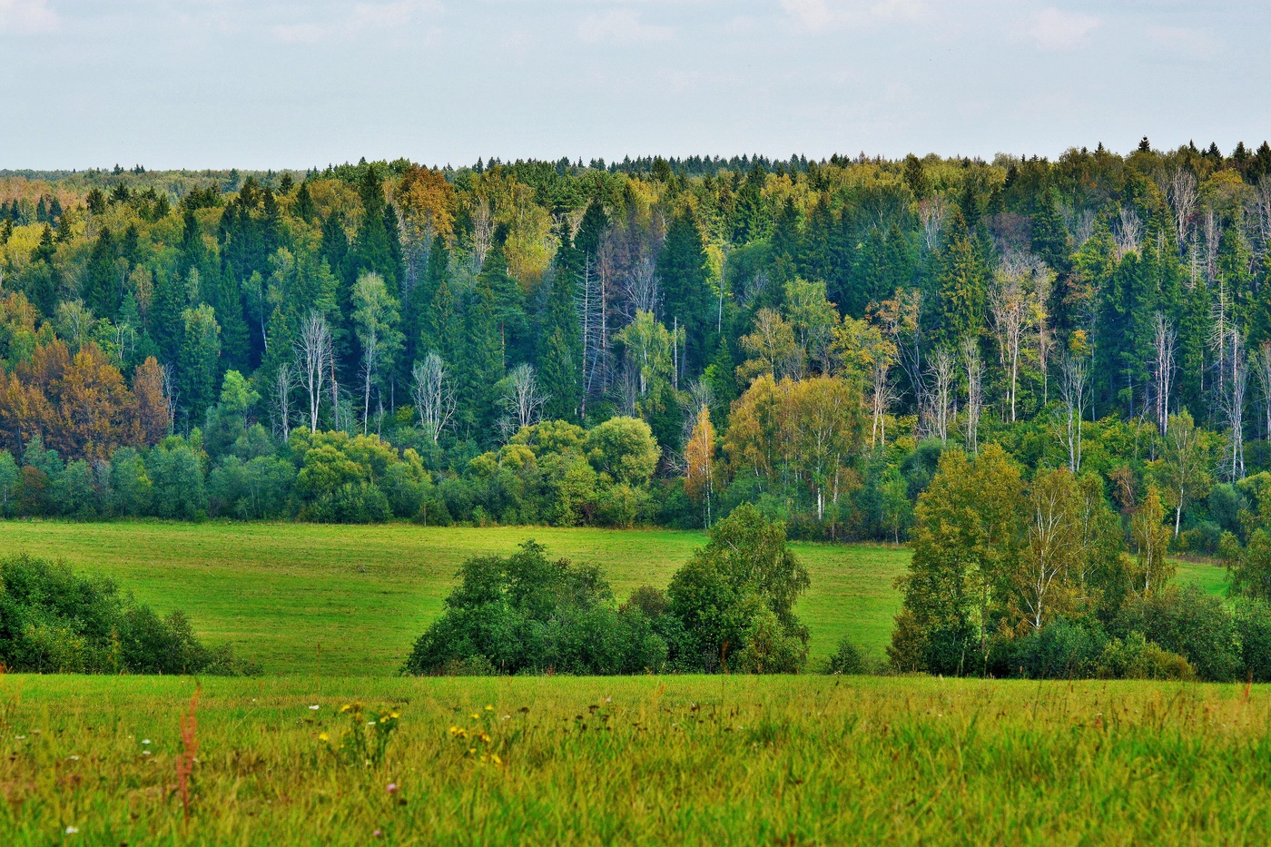 "Осень только взялась за работу ..."
