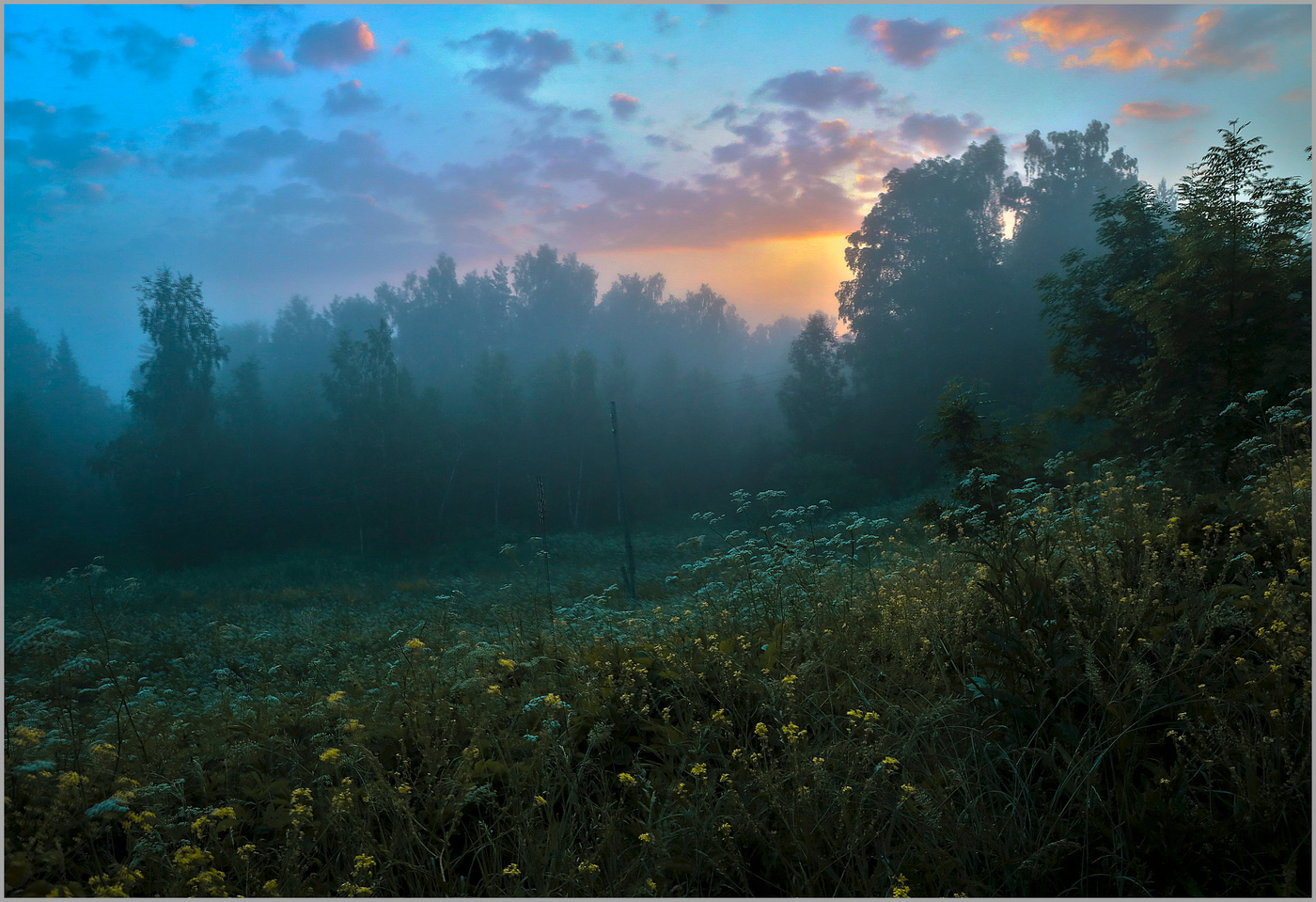 Утренний этюд 4