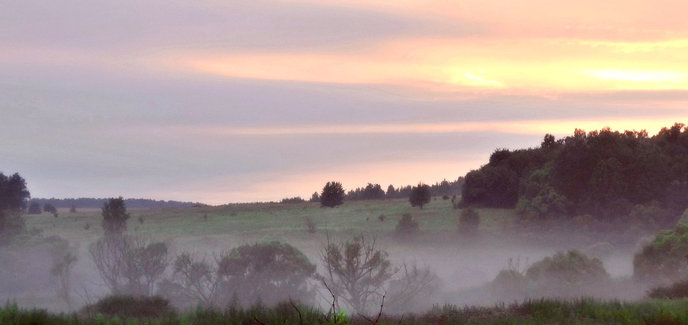 Панорама утренней зари и тумана в ложбине