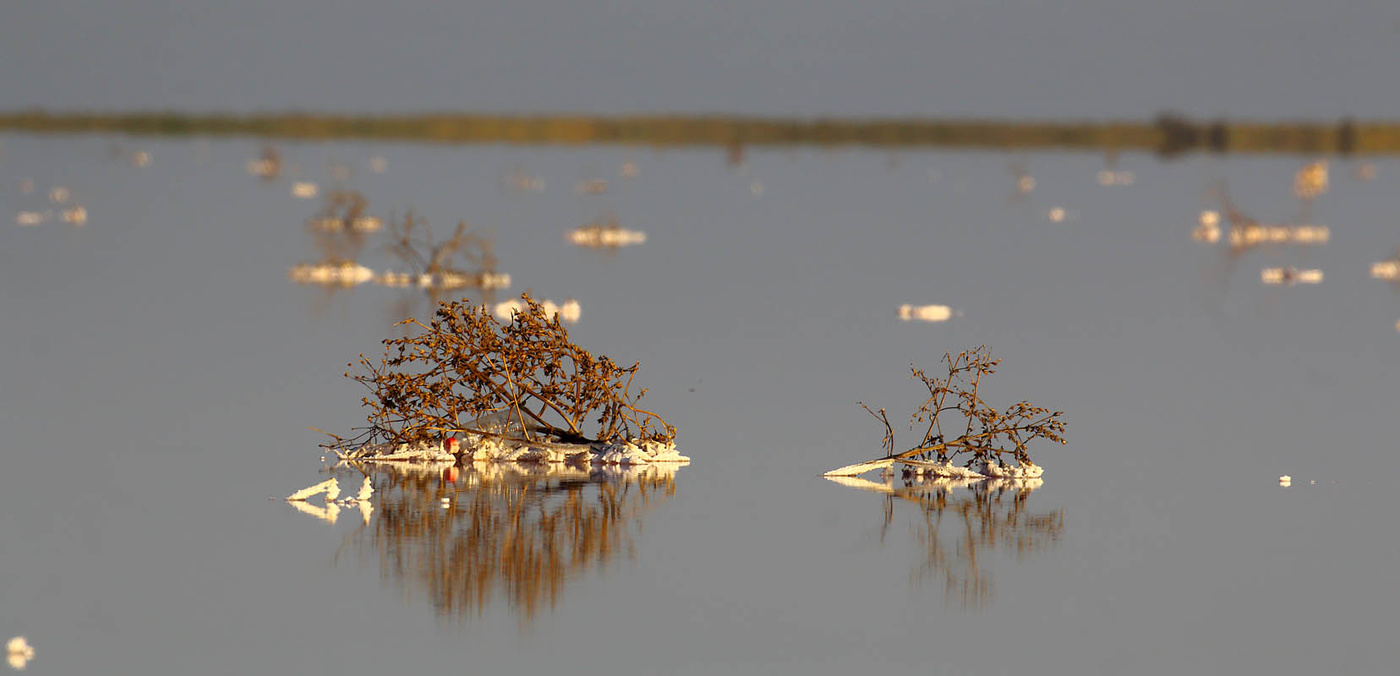 Кояшское озеро