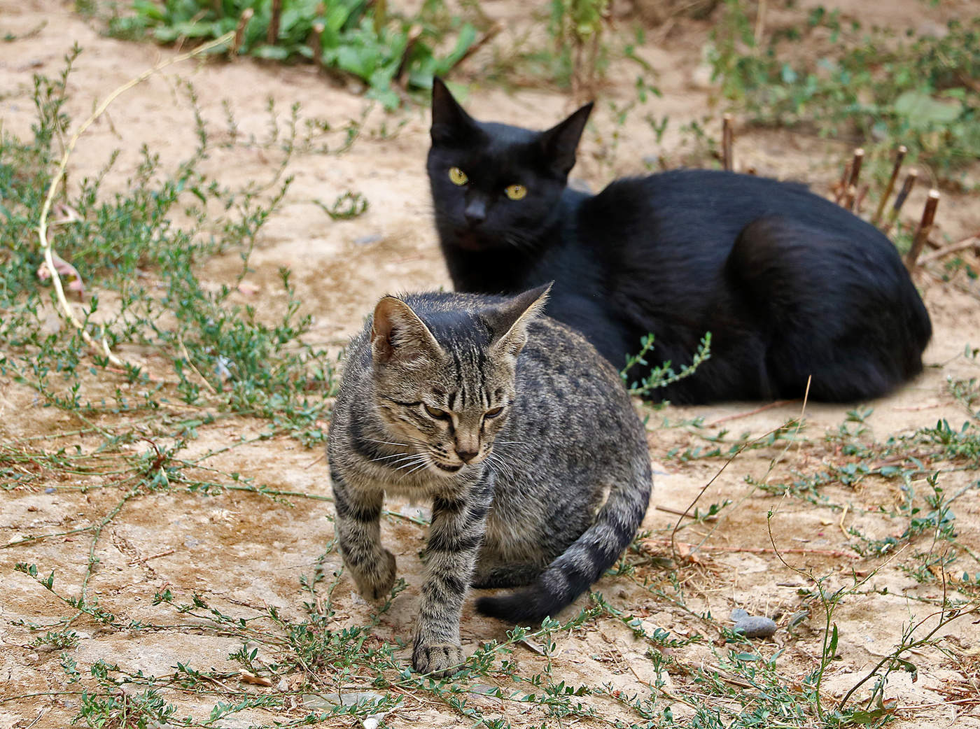 Всё, ухожу я от тебя...