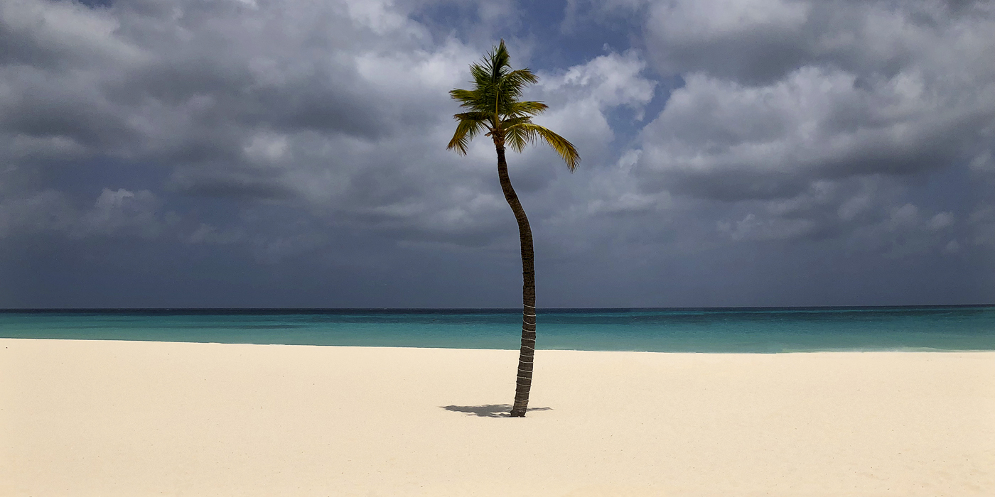 Цвет и линия