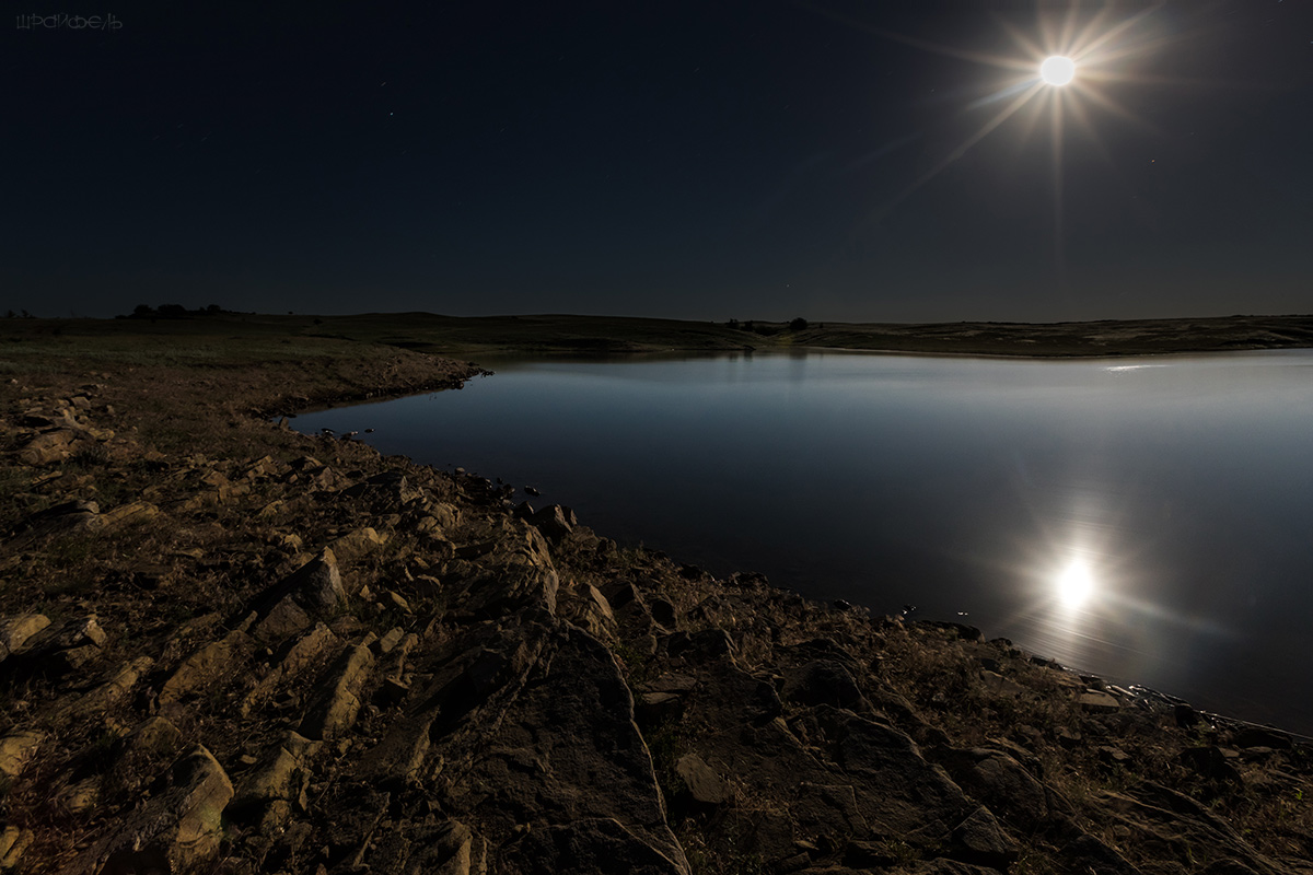 В лунном свете