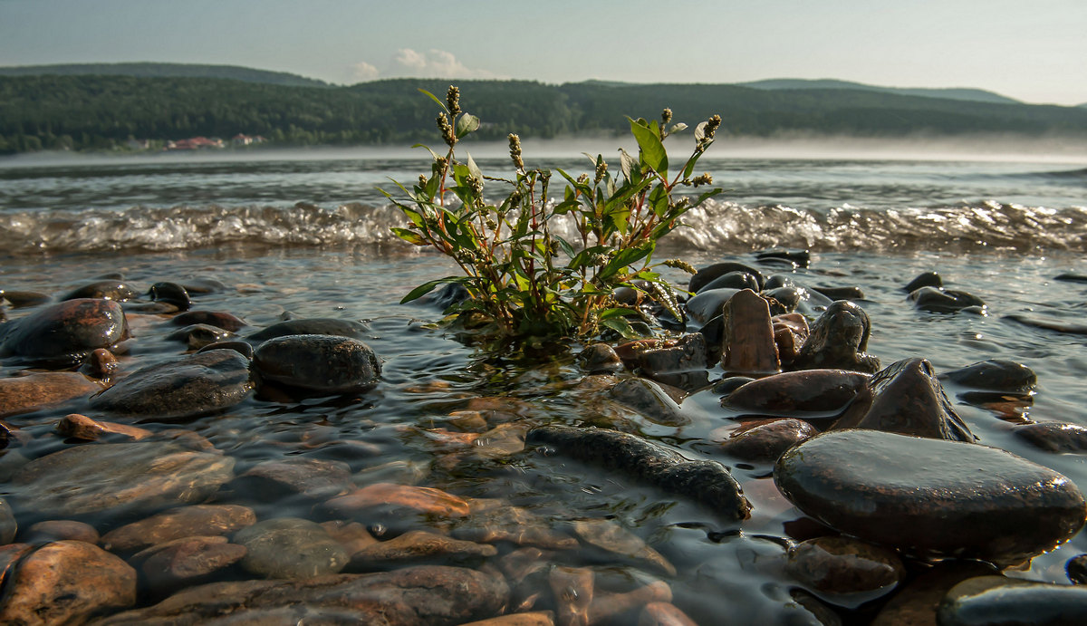 Просто лето...