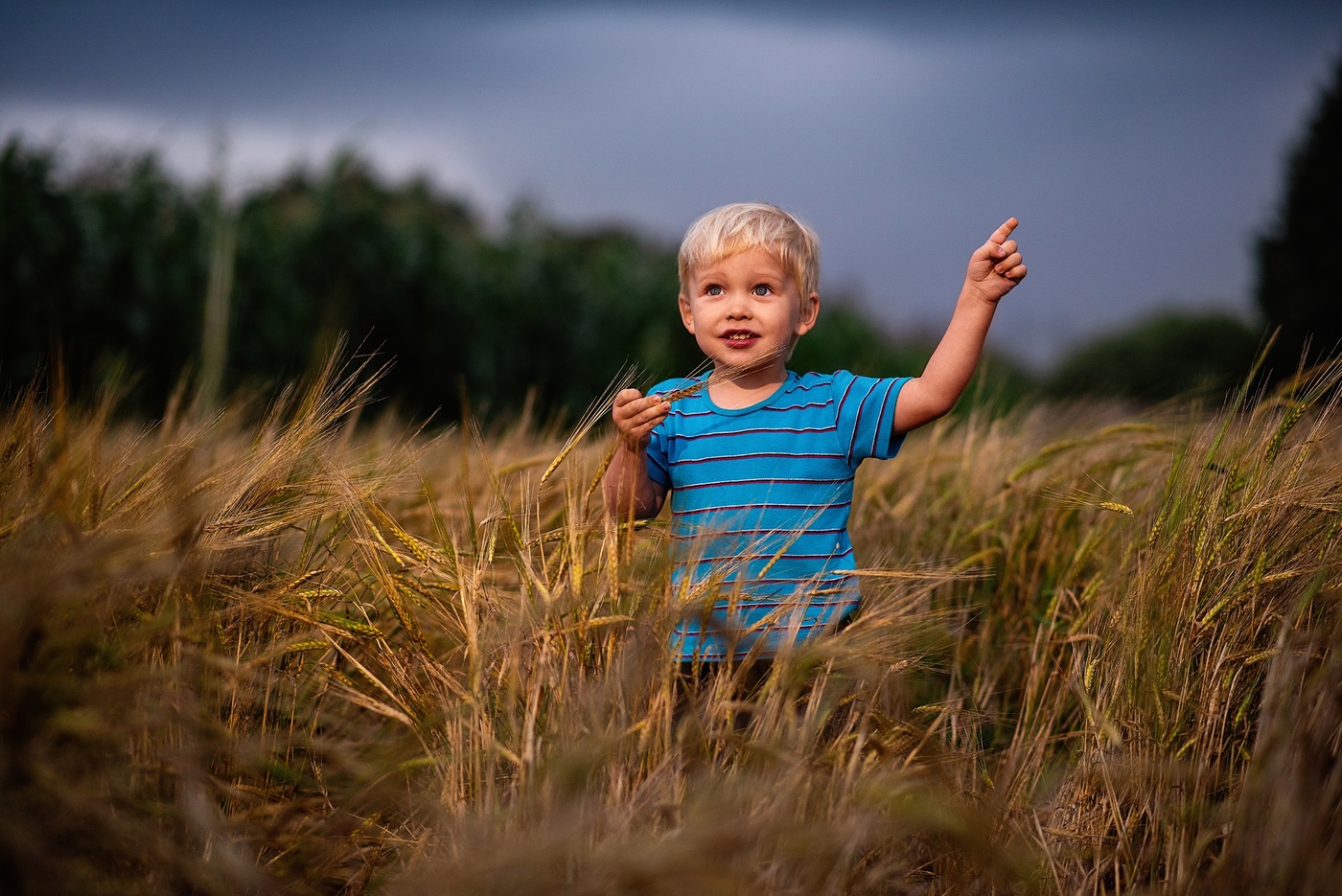 Портрет Матвея Табакова