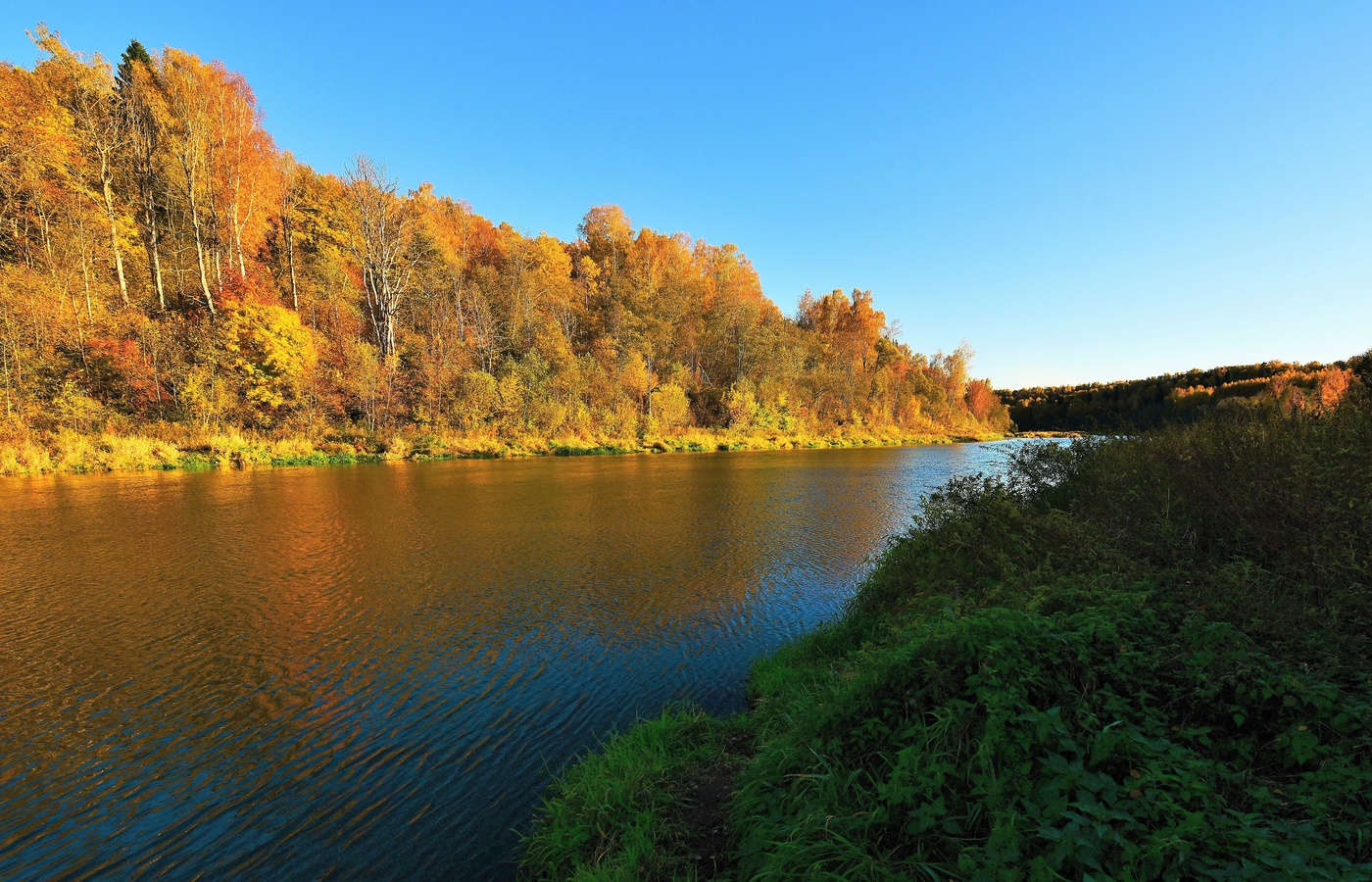 "Осень, рыжая кобыла, чешет гриву ..."