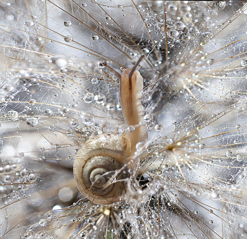 stranger in the light