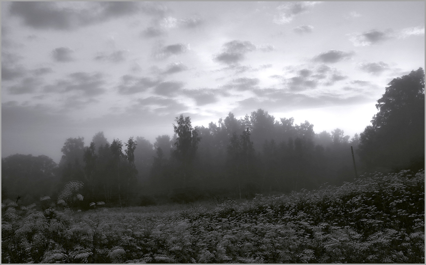 Утренний этюд 5