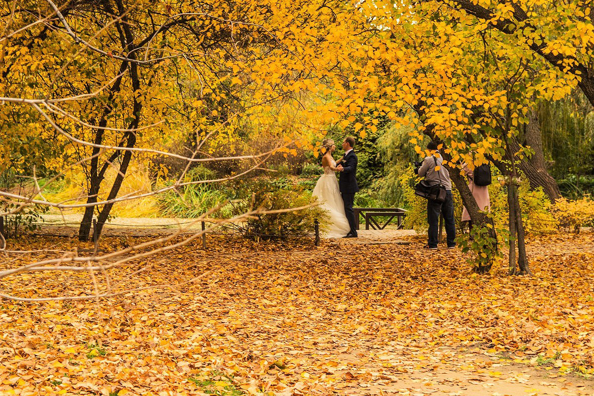 Осенний вальс