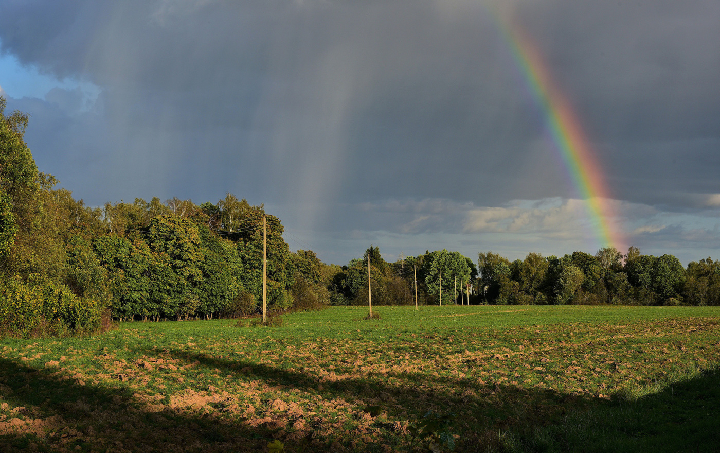 "Омыв, на время, свод небесный, умчался дождь за горизонт..."
