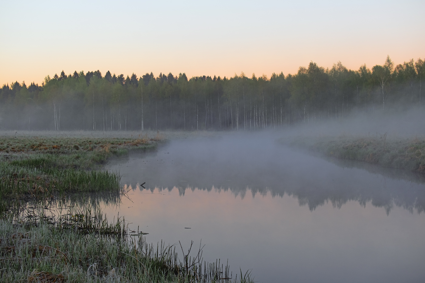 Туманная безмятежность