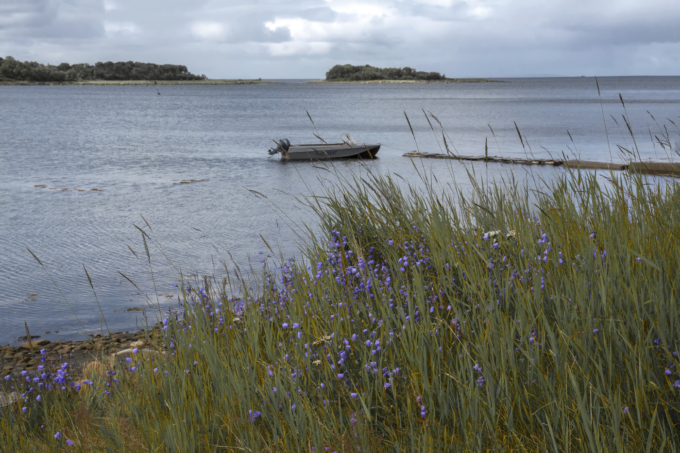 скромное обаяние северного лета
