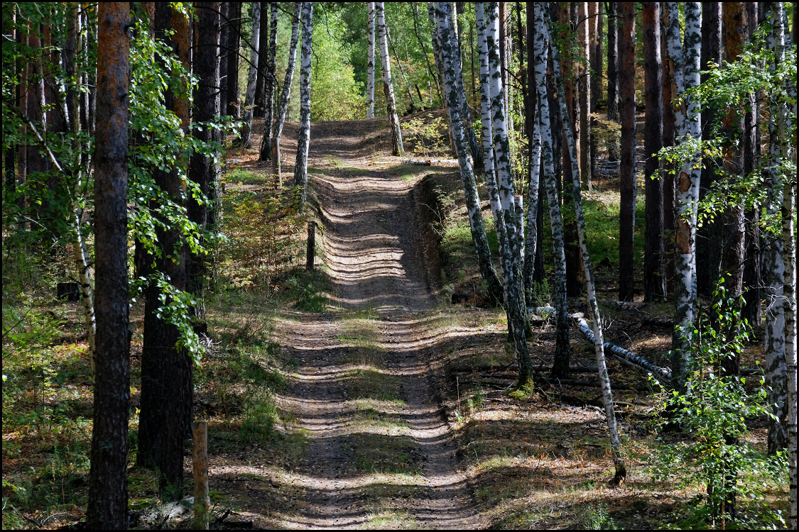 Velvet on the ground